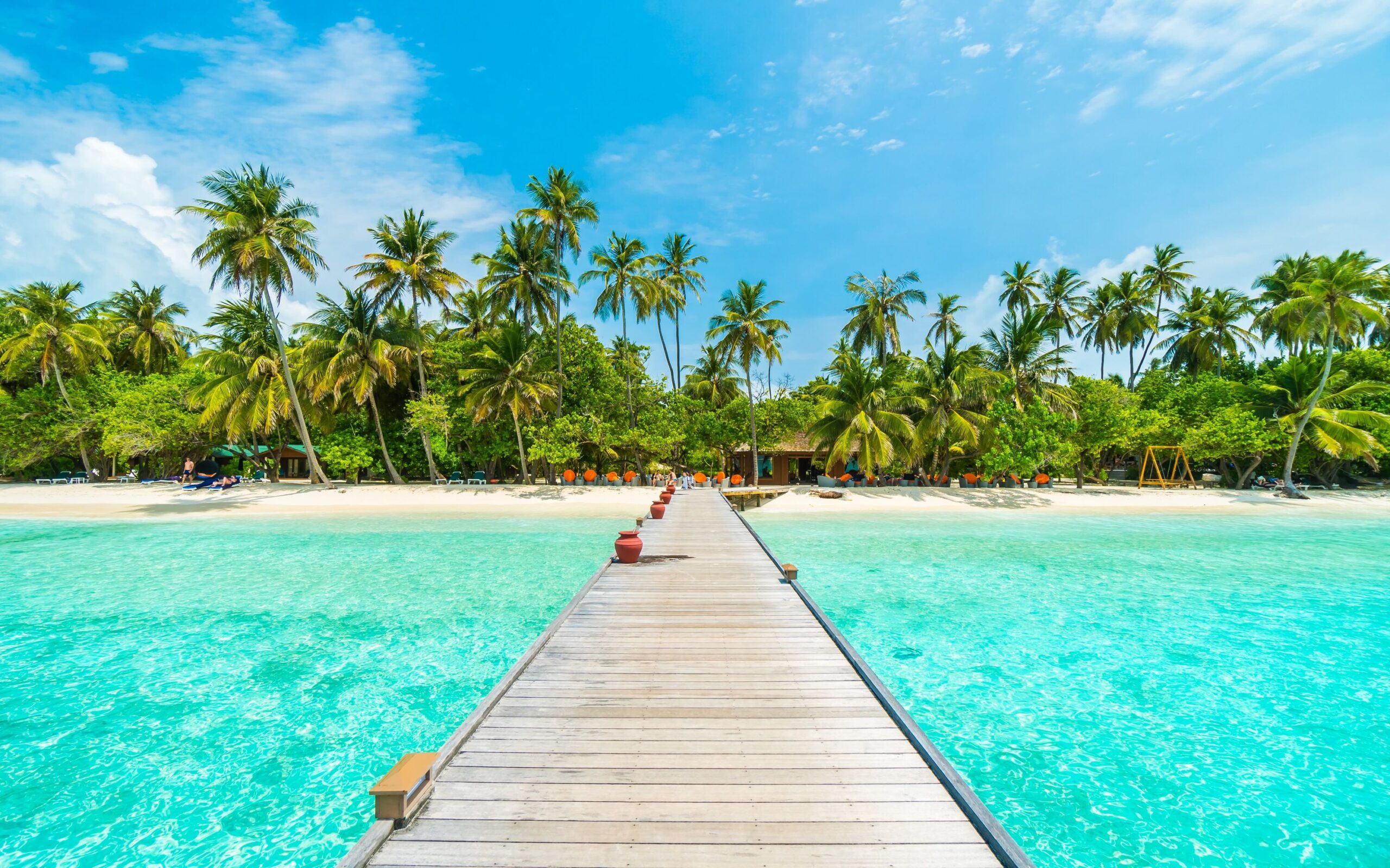 shutterstock_444622738 (2)